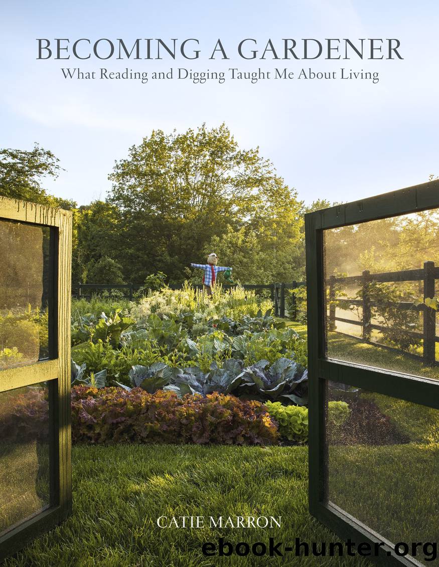 Becoming a Gardener by Catie Marron