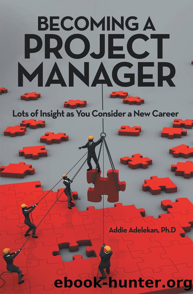 Becoming a Project Manager by Addie Adelekan Ph. D