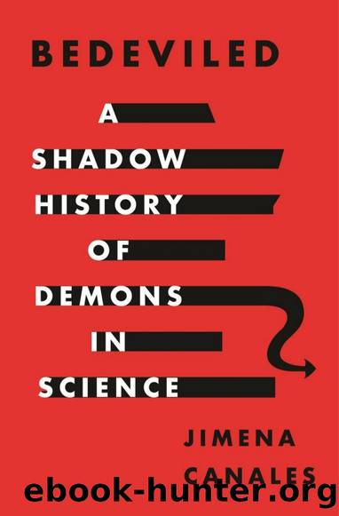 Bedeviled: A Shadow History of Demons in Space by Jimena Canales
