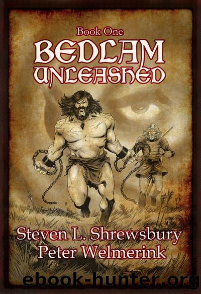 Bedlam Unleashed by Peter Welmerink & Peter Welmerink