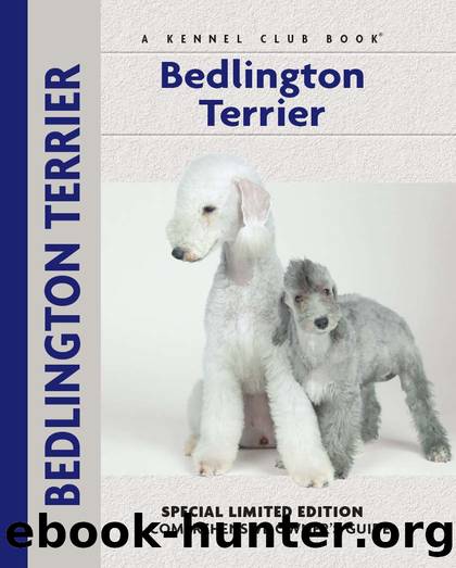 Bedlington Terrier by Muriel P. Lee