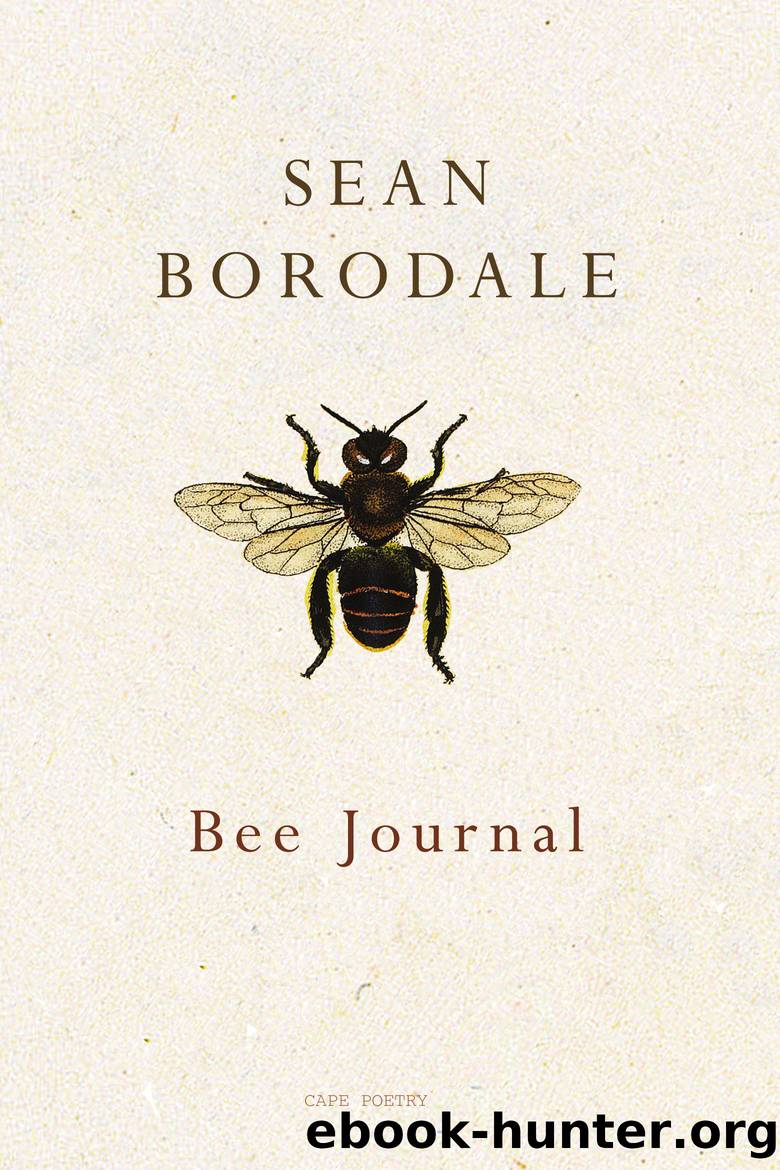 Bee Journal by Sean Borodale