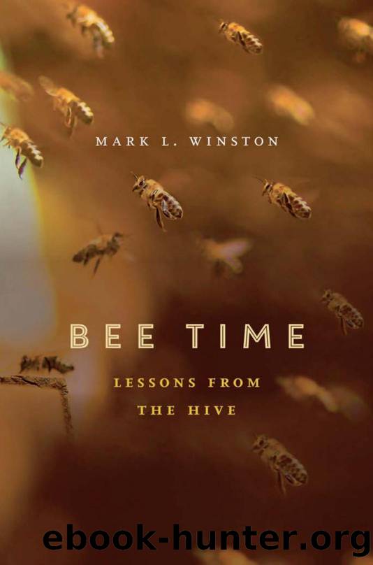 Bee Time by Mark L. Winston