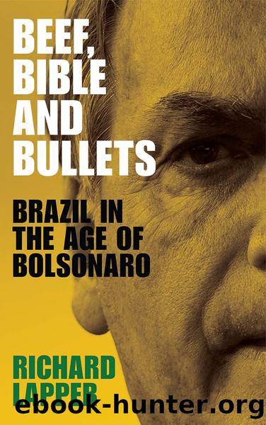 Beef, Bible and Bullets: Brazil in the Age of Bolsonaro by Richard Lapper