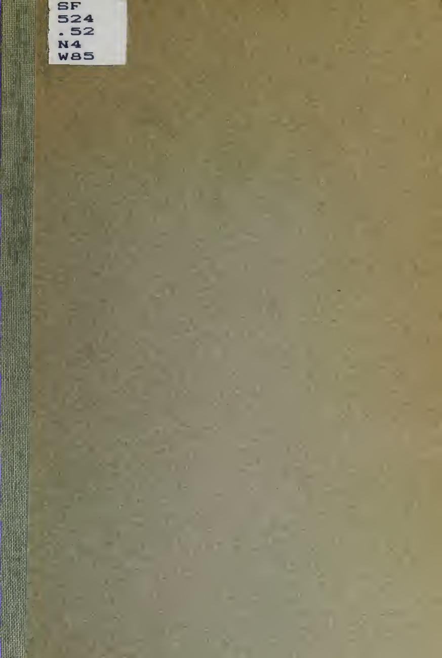 Beekeeping for New Hampshire by Wolff William H