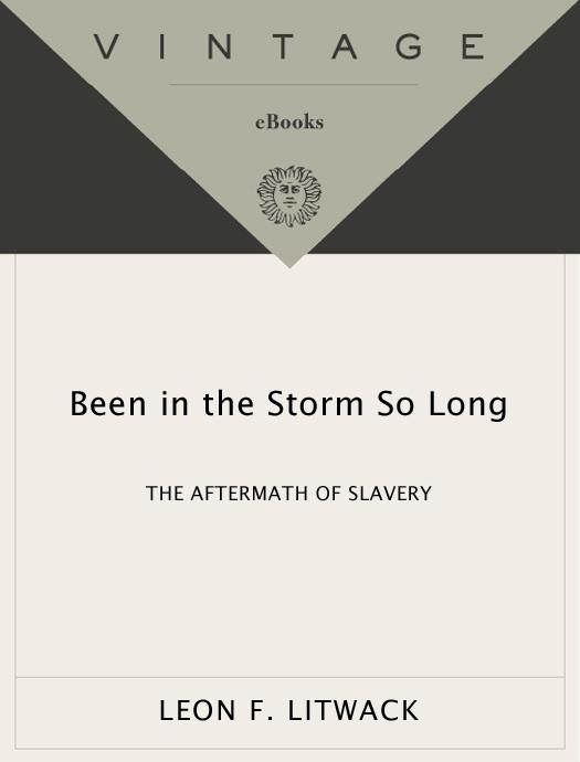 Been in the Storm So Long by Leon F. Litwack
