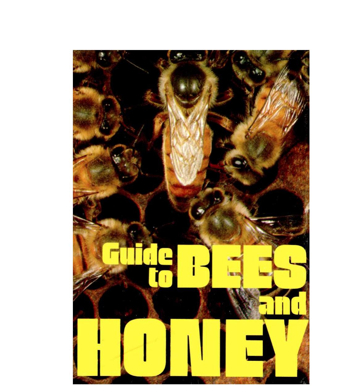Bees and Honey by Ted Hooper