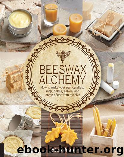 Beeswax Alchemy by Petra Ahnert