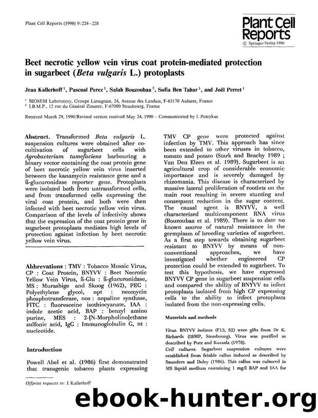 Beet necrotic yellow vein virus coat protein-mediated protection in sugarbeet (<Emphasis Type="Italic">Beta vulgaris<Emphasis> L.) protoplasts by Unknown