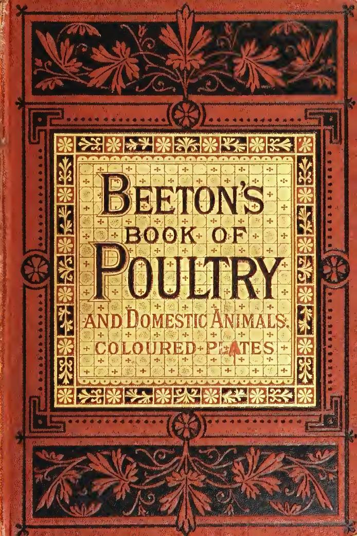Beeton's book of poultry and domestic animals: showing how to rear and manage them, in sickness and in health by Beeton Samuel Orchart 1831-1877