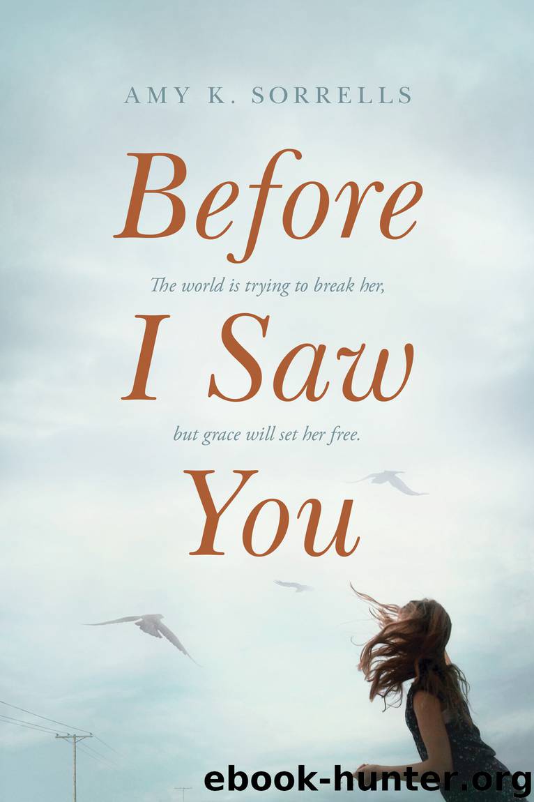 Before I Saw You by Amy Sorrells