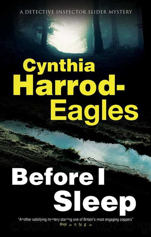 Before I Sleep by Cynthia Harrod-Eagles