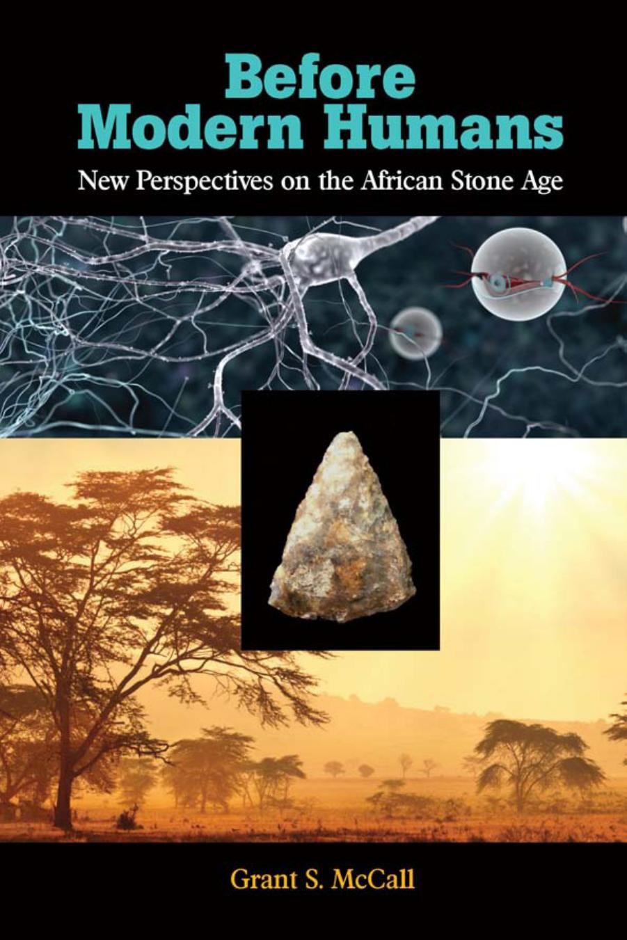 Before Modern Humans: New Perspectives on the African Stone Age by Grant S. McCall