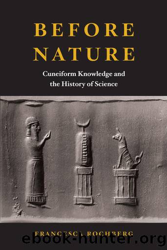 Before Nature by Francesca Rochberg;