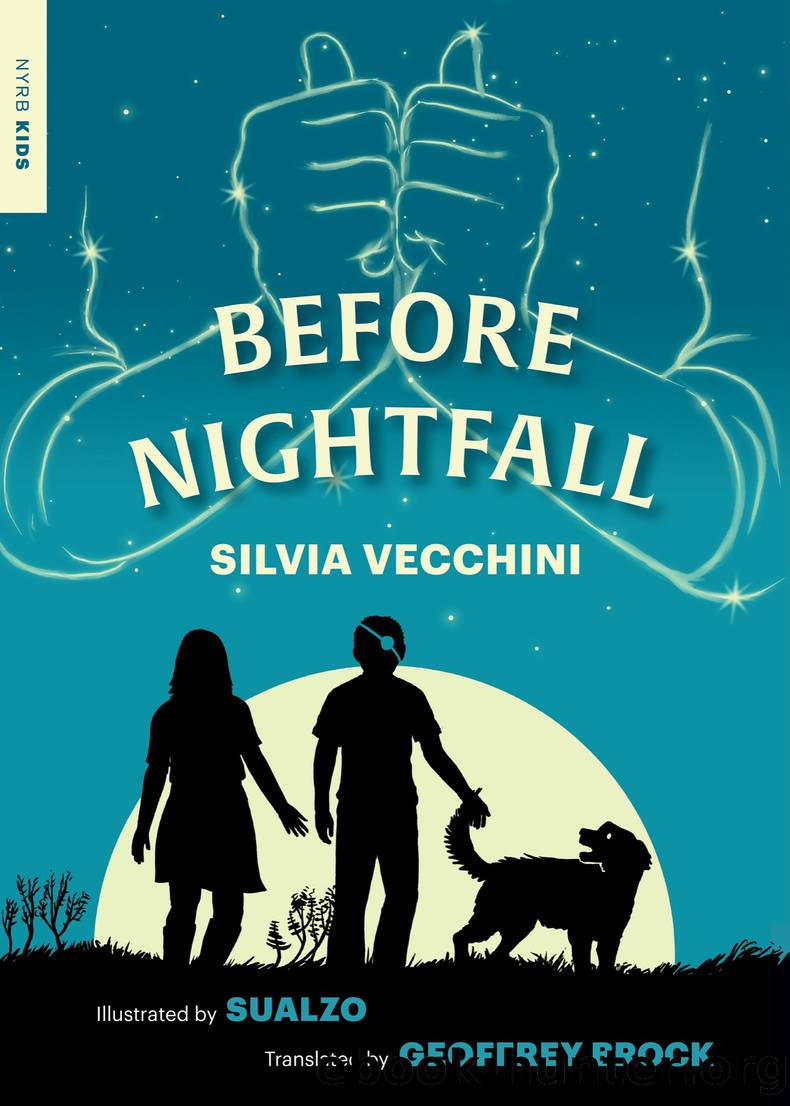 Before Nightfall by Silvia Vecchini