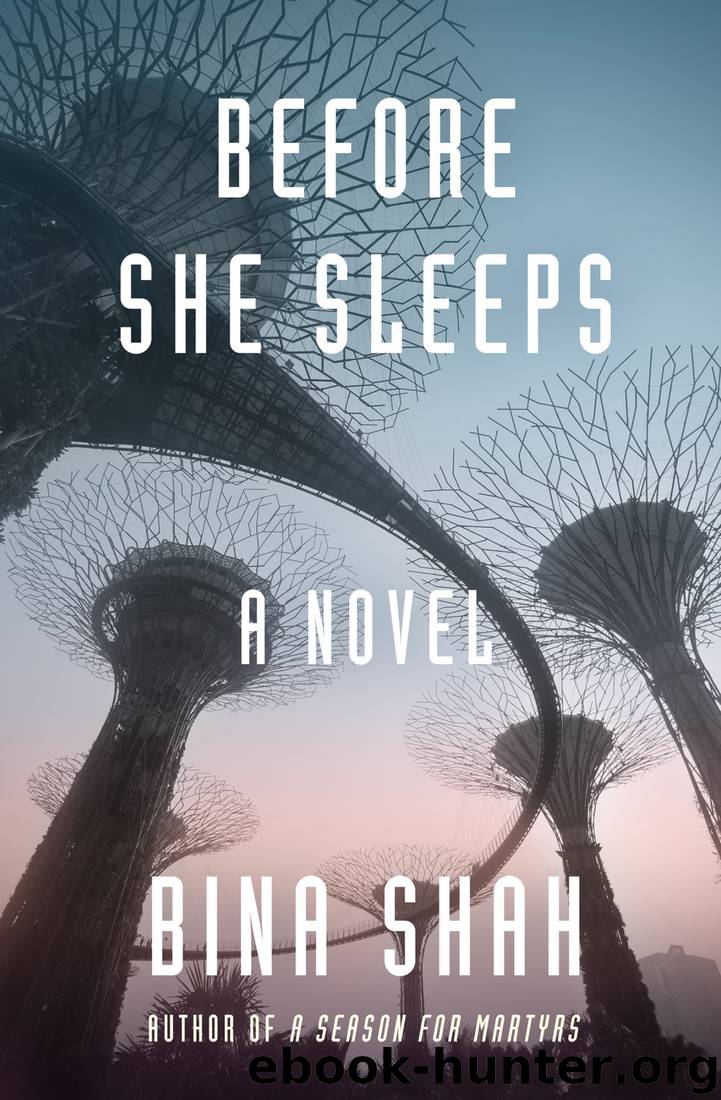 Before She Sleeps by Bina Shah