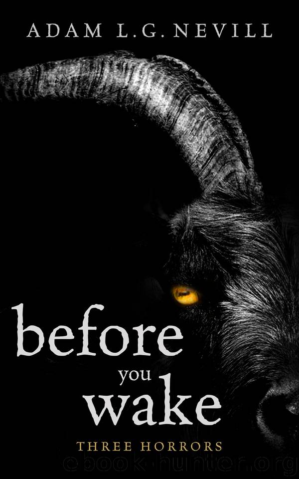 Before You Wake [S.S. Col.] by Nevill Adam