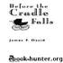 Before the Cradle Falls by James F. David