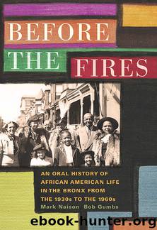 Before the Fires by Mark Naison