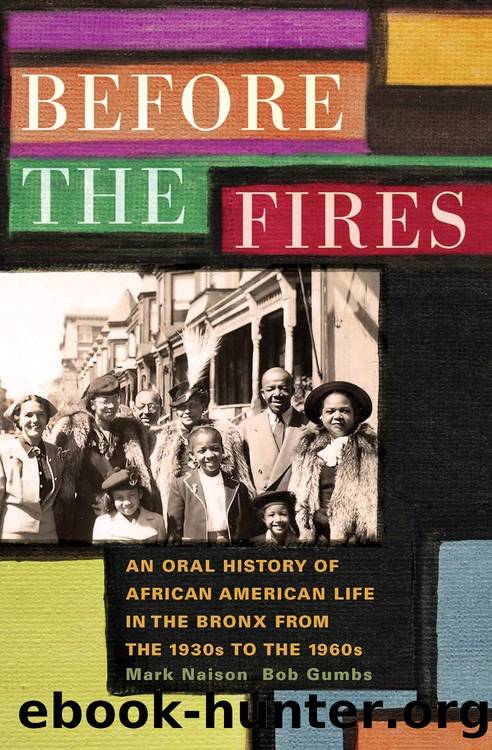 Before the Fires: An Oral History of African American Life in the Bronx From the 1930s to the 1960s by Mark D. Naison & Bob Gumbs