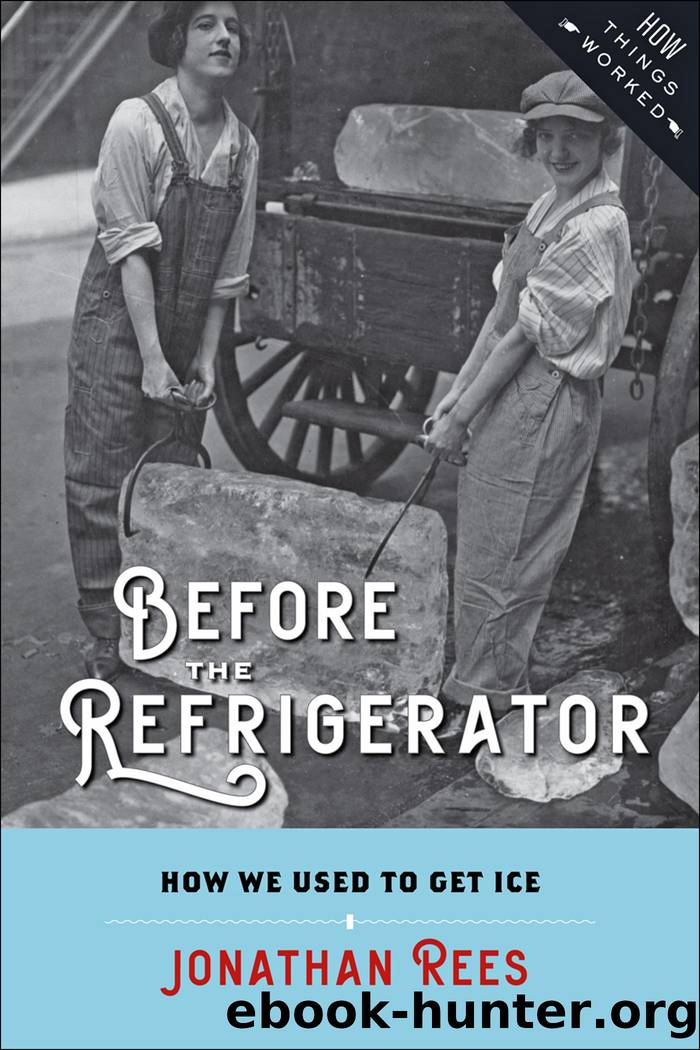 Before the Refrigerator by Jonathan Rees