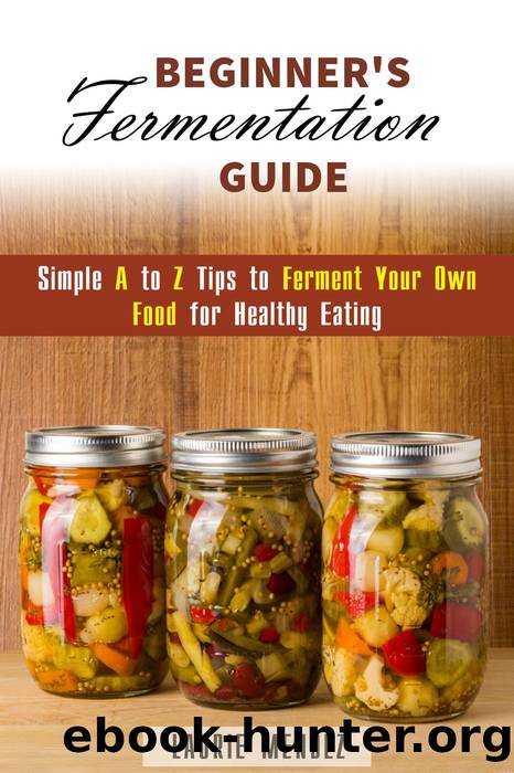 Beginner's Fermentation Guide by Laurie Mendez