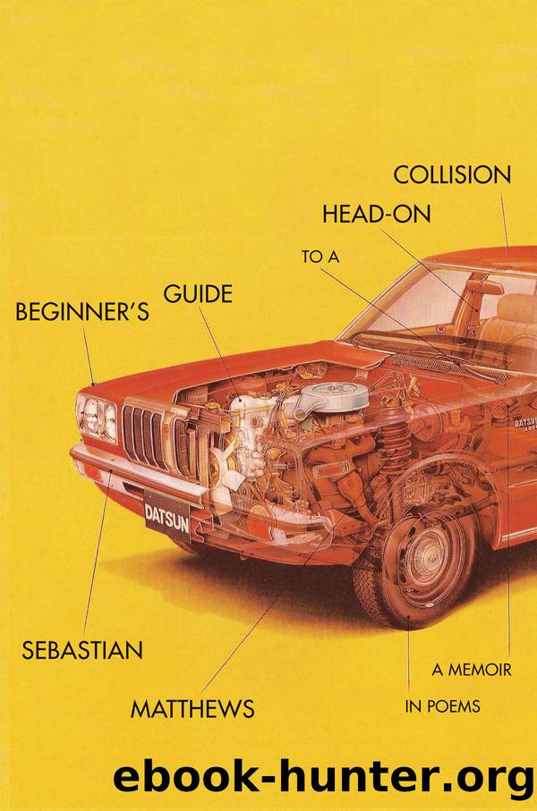 Beginner's Guide to a Head-On Collision by Sebastian Matthews