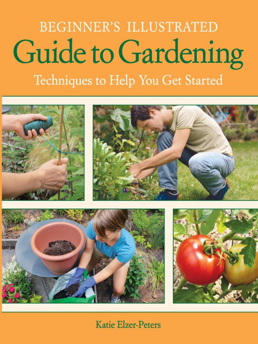 Beginner's Illustrated Guide to Gardening by Katie Elzer-Peters