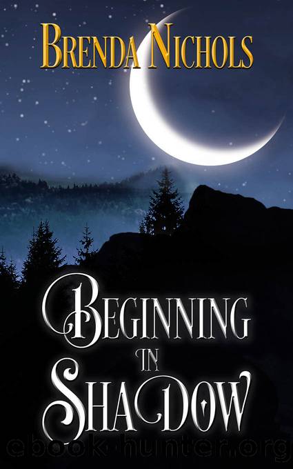 Beginning in Shadow by Brenda Nichols
