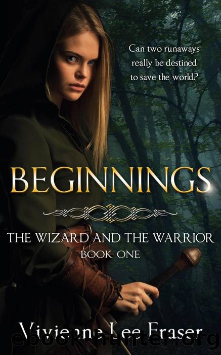 Beginnings (The Wizard and the Warrior, #1) by Vivienne Lee Fraser