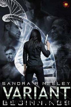 Beginnings by Sandra R Neeley