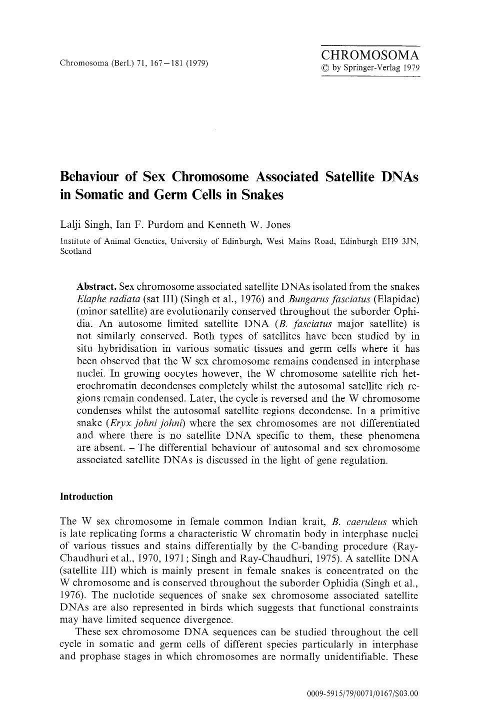 Behaviour of sex chromosome associated satellite DNAs in somatic and germ cells in snakes by Unknown