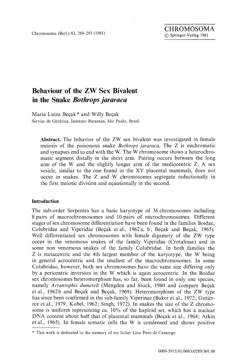 Behaviour of the ZW sex bivalent in the snake <Emphasis Type="Italic">Bothrops jararaca<Emphasis> by Unknown