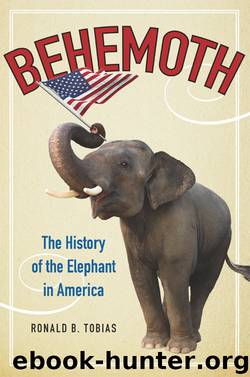 Behemoth by Ronald B. Tobias