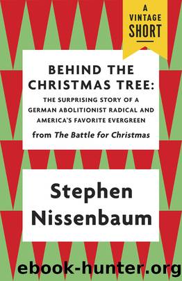 Behind the Christmas Tree by Stephen Nissenbaum