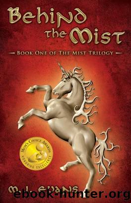 Behind the Mist by M.J. Evans