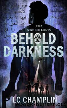 Behold Darkness by L C Champlin