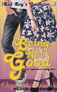 Being Not Good by Elizabeth Stevens