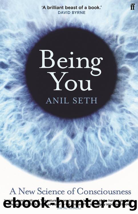 Being You : A New Science of Consciousness (9780571337736) by Seth Anil