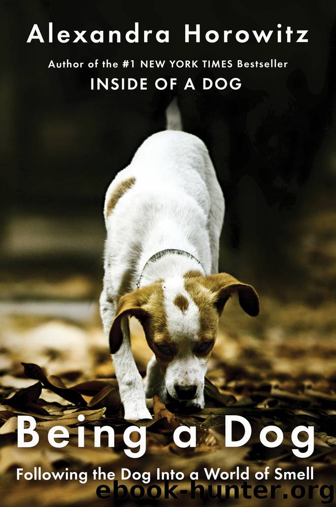 Being a Dog by Alexandra Horowitz
