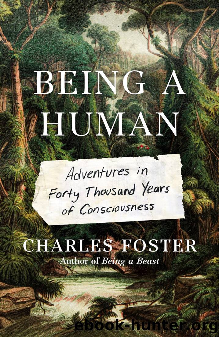 Being a Human: Adventures in Forty Thousand Years of Consciousness by Charles Foster