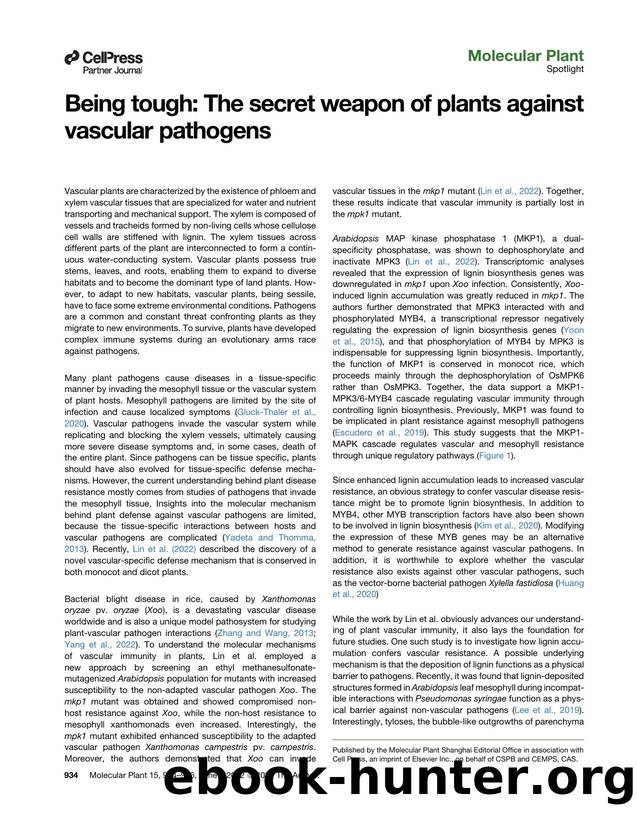 Being tough: The secret weapon of plants against vascular pathogens by Dandan Zhang & Bin Lv & Jin-Long Qiu