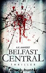 Belfast Central by A.K. Amherst