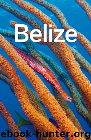 Belize Travel Guide by Lonely Planet