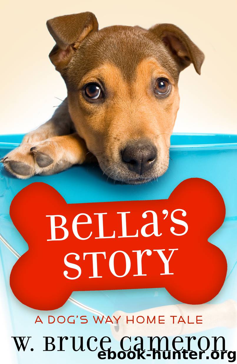 Bella's Story by W. Bruce Cameron