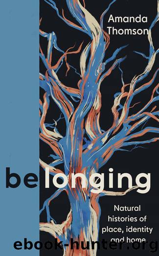 Belonging: Understories of Nature, Family and Home by Amanda Thomson