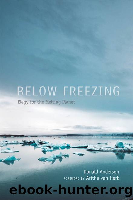 Below Freezing by Anderson Donald;van Herk Aritha;