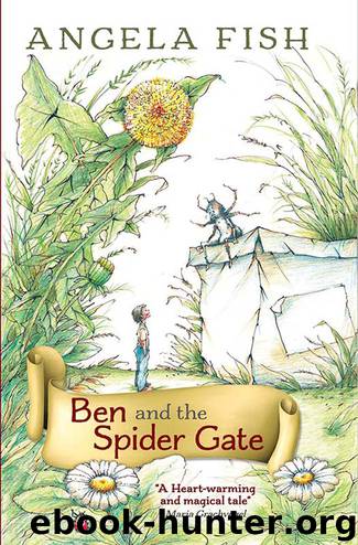 Ben and the Spider Gate by Angela Fish