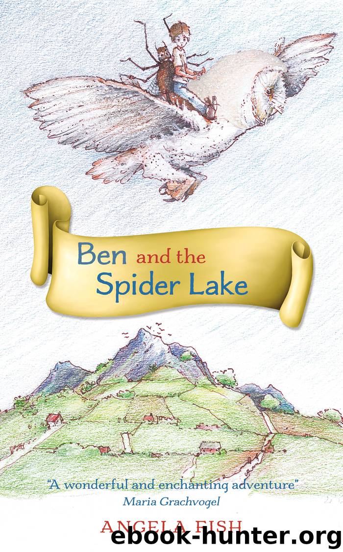 Ben and the Spider Lake by Angela Fish