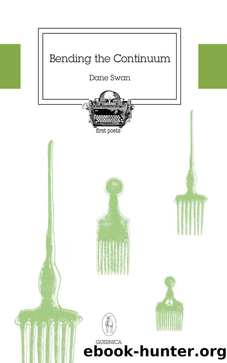 Bending The Continuum by Dane Swan